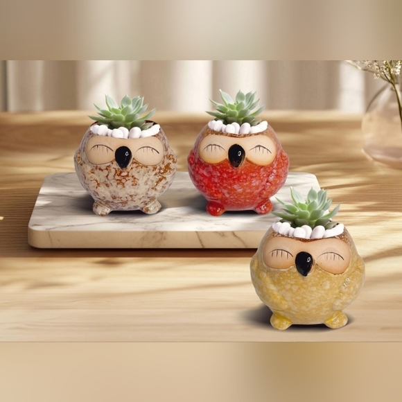 NWOT | Adorable Ceramic Owl Succulent Planter Pots | Set Of 4 | Drainage Holes - Picture 3 of 16